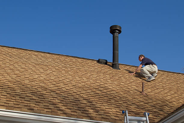 Best Rubber Roofing (EPDM, TPO)  in Oak Park, IL